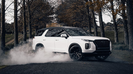 HYUNDAI PALISADE Hyundai Palisade on BGW VM12