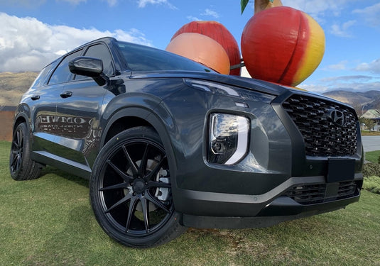 HYUNDAI PALISADE Hyundai Palisade on BGW Anaheim