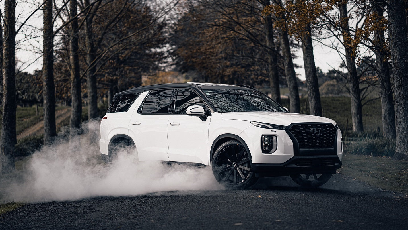 Hyundai Palisade on BGW VM12